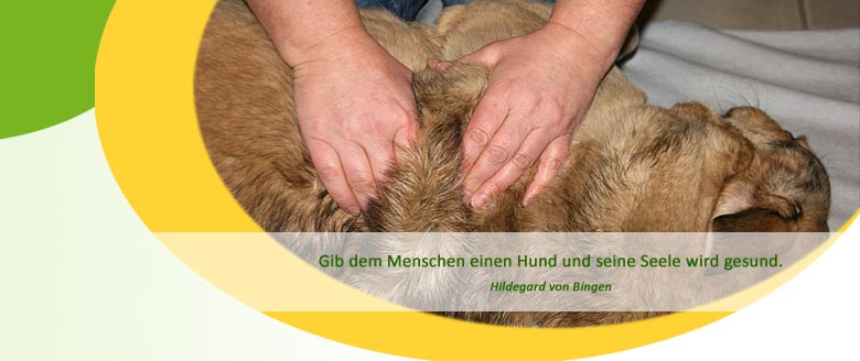 Herzlich willkommen bei der Hundephysiotherapie Mussenbrock in Dülmen
